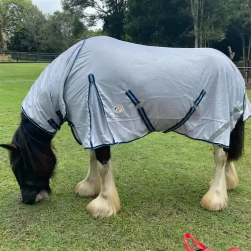 Clydesdale mesh combo rug with IR3535 fly repellent technology, designed for big horses prone to insects and heat