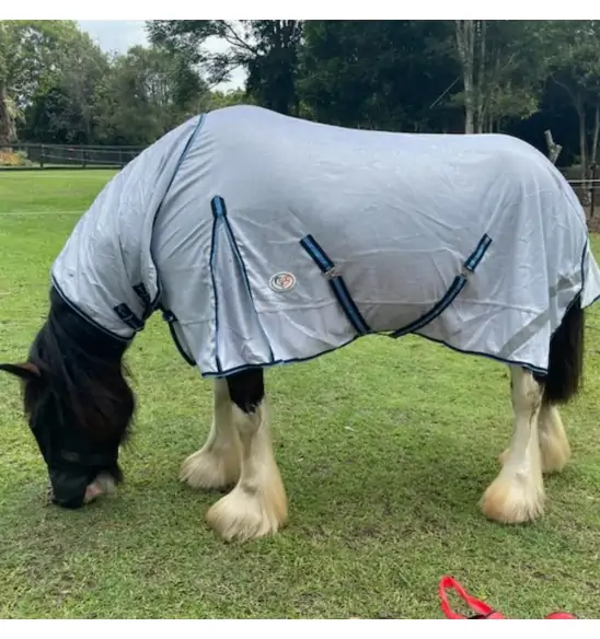 Clydesdale mesh combo rug with IR3535 fly repellent technology, designed for big horses prone to insects and heat