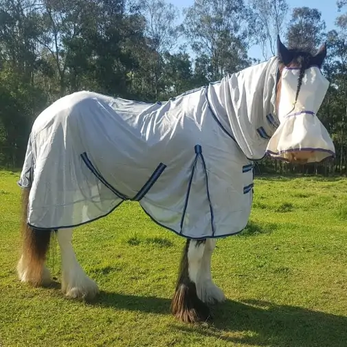 Another happy customer wearing Clydesdale mesh combo rug, designed for big horses prone to insects and heat
