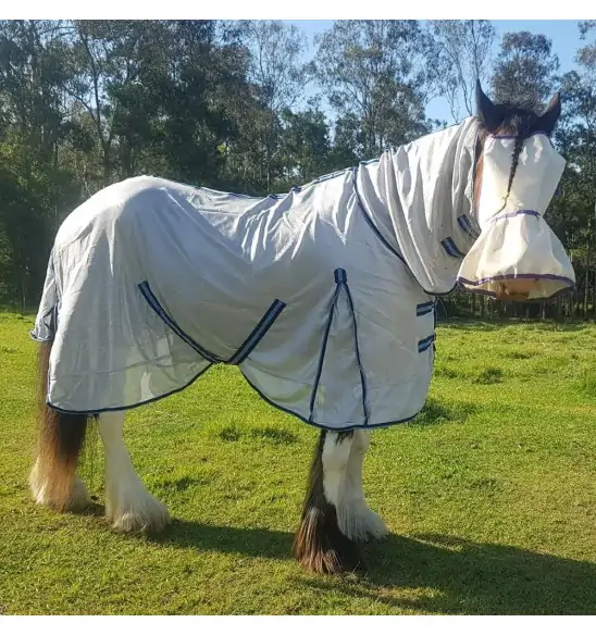 Another happy customer wearing Clydesdale mesh combo rug, designed for big horses prone to insects and heat