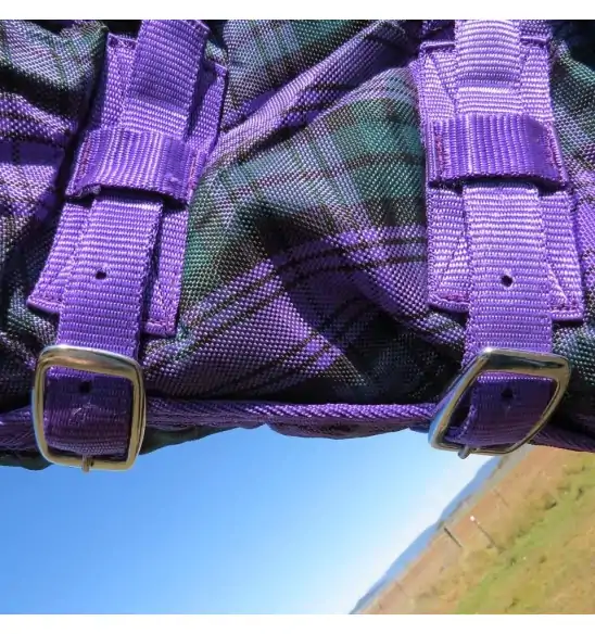 Purple / Green check stable combo horse rug with double buckles on neck