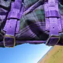 Purple / Green check stable combo horse rug with double buckles on neck