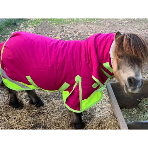 Miniature 600D Rainsheet Combo Horse Rugs Pink Lime|Horse Rugs | LOVE MY HORSE - Australia