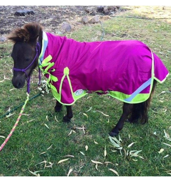 Miniature 600D Rainsheet Combo Horse Rugs Pink Lime|Horse Rugs | LOVE MY HORSE - Australia