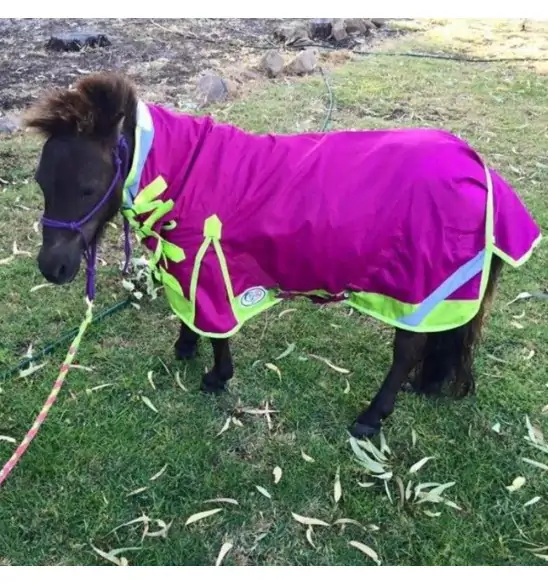 Miniature 600D Rainsheet Combo Horse Rugs Pink Lime|Horse Rugs | LOVE MY HORSE - Australia
