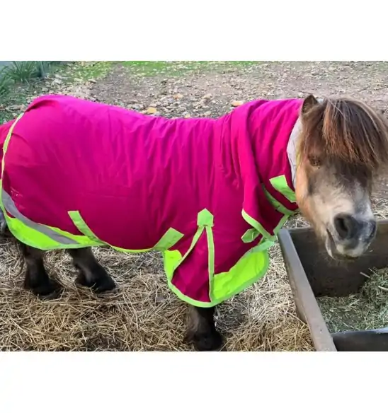 Miniature 600D Rainsheet Combo Horse Rugs Pink Lime|Horse Rugs | LOVE MY HORSE - Australia