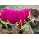 Miniature 600D Rainsheet Combo Horse Rugs Pink Lime|Horse Rugs | LOVE MY HORSE - Australia