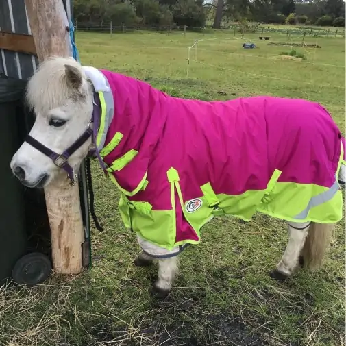Miniature 600D Rainsheet Combo Horse Rugs Pink Lime|Horse Rugs | LOVE MY HORSE - Australia