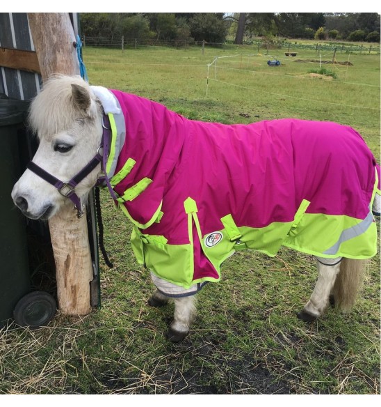 Miniature 600D Rainsheet Combo Horse Rugs Pink Lime|Horse Rugs | LOVE MY HORSE - Australia