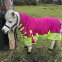 Miniature 600D Rainsheet Combo Horse Rugs Pink Lime|Horse Rugs | LOVE MY HORSE - Australia