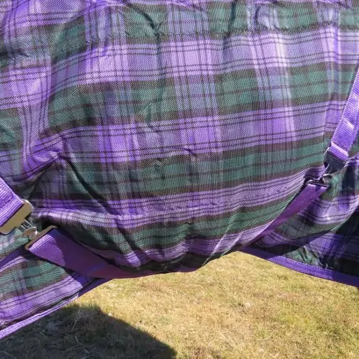 Purple / Green check stable combo horse rug