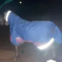 Reflective detailing glows in low light to help keep little horses visible at night.