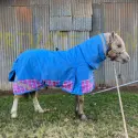 Customer photo showing the mini winter rug fitted on a little horse.