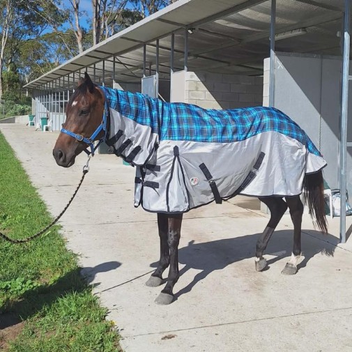 Rainsheet hybrid with waterproof topline and IR3535 mesh sides