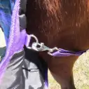 Purple / Green check stable combo horse rug with steel clips on leg straps