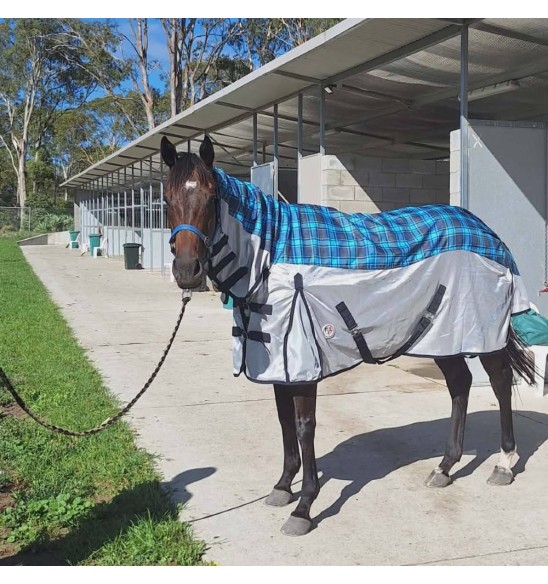 Waterproof rainsheet topline with cool mesh sides for summer storms