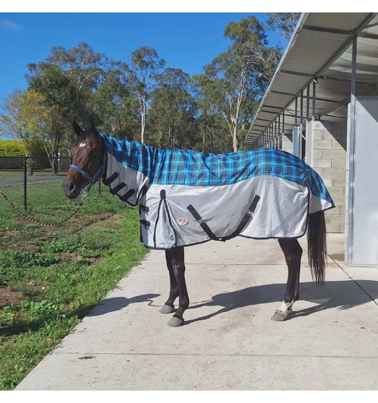 Mini Rainsheet IR3535 Fly Repellent Hybrid Horse Rug Blue|Horse Rugs | LOVE MY HORSE - Australia
