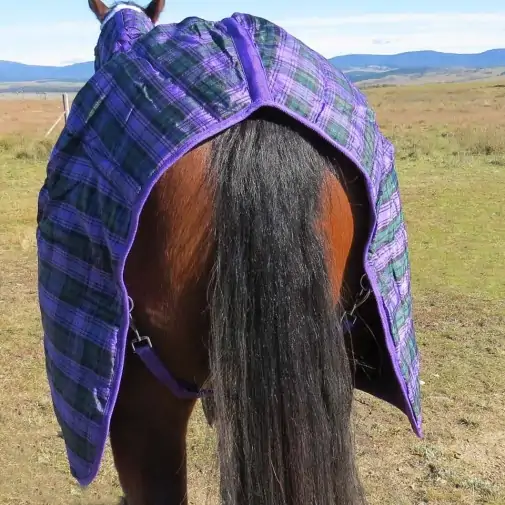 Purple / Green check stable combo horse rug showing no tail flap
