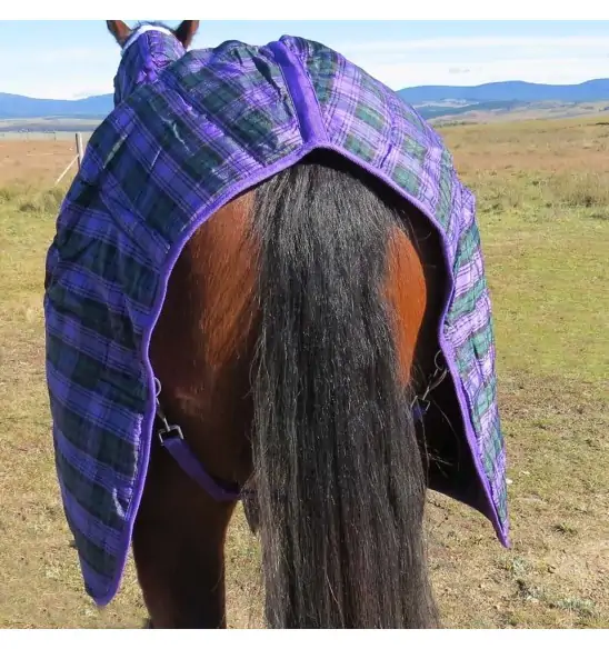 Purple / Green check stable combo horse rug showing no tail flap