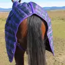 Purple / Green check stable combo horse rug showing no tail flap
