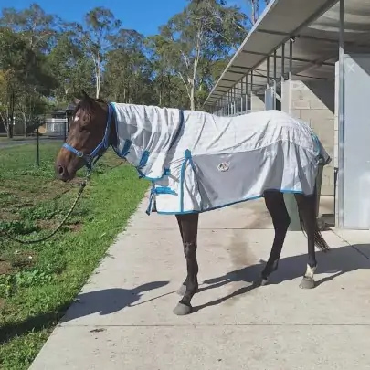 Cotton hybrid combo with IR3535 treated mesh sides 2