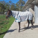 Cotton IR3535 Fly Repellent Hybrid Horse Rug | Blue|Horse Rugs | LOVE MY HORSE - Australia