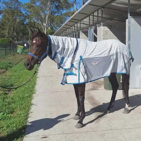 Cotton IR3535 Fly Repellent Horse Rug Blue | LOVE MY HORSE