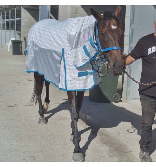 Cotton IR3535 Fly Repellent Hybrid Horse Rug | Blue|Horse Rugs | LOVE MY HORSE - Australia