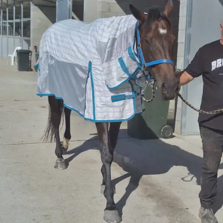 Cotton IR3535 Fly Repellent Horse Rug Blue | LOVE MY HORSE