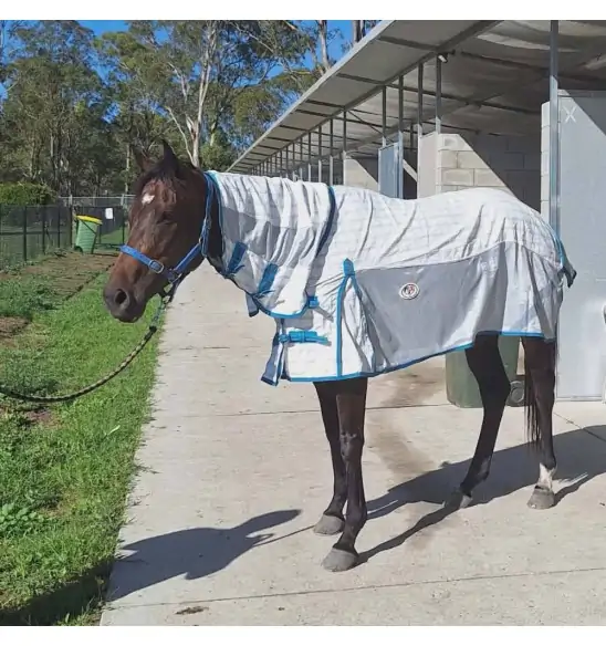 Cotton / Dura mesh with IR3535 treatment panels for strogn topline and cool mesh fly repellent summers