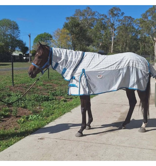 Mini Cotton IR3535 Fly Repellent Hybrid Horse Rug | Pink|Horse Rugs | LOVE MY HORSE - Australia
