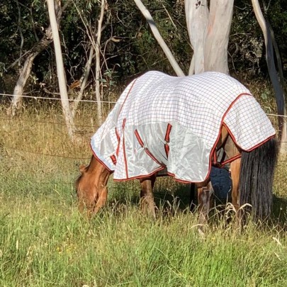 Cotton Dura Mesh Hybrid Combo Horse Rugs