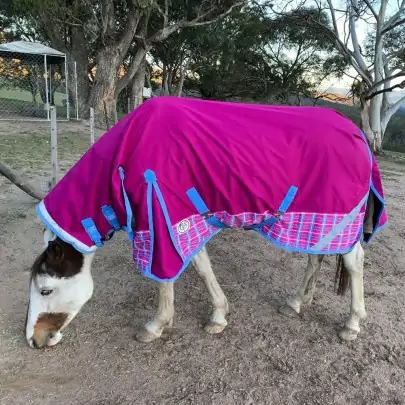 Miniature Winter Combo Horse Rug Pink Rasberry 2