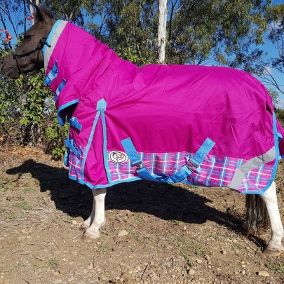 Miniature Winter Combo Horse Rug Pink Rasberry