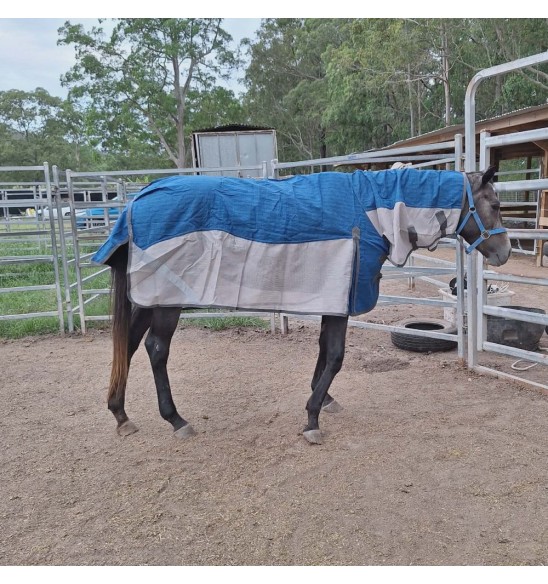 Canvas mesh hybrid horse rug with breathable mesh sides