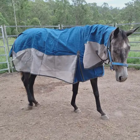 Breathable canvas mesh hybrid horse rug