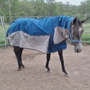Breathable canvas mesh hybrid horse rug