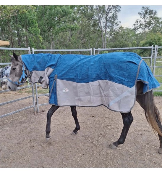 Hybrid horse rug with mesh sides and canvas top