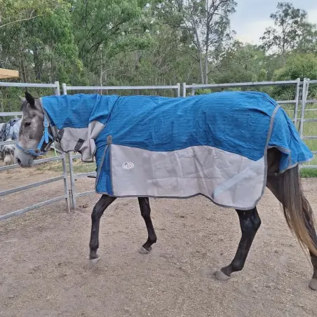 Hybrid horse rug with mesh sides and canvas top