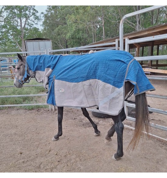 Canvas and mesh combo horse rug