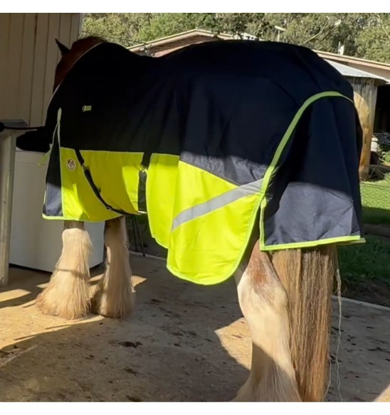 Navy and Lime winter Clydy Heavy horse rug