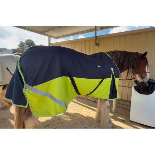 Horse rug for heavy horse in navy and lime