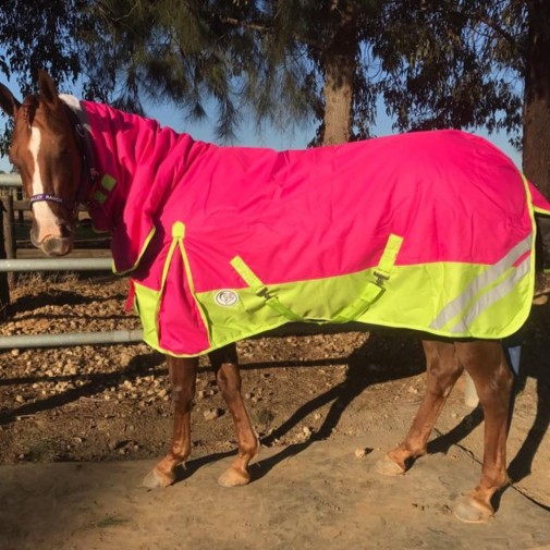 Taped seams add an extra barrier to help prevent water penetration.