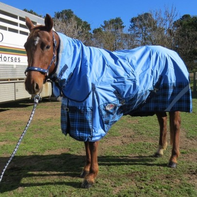 600D Winter Combo Horse Rugs Blue Check