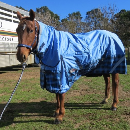 600D Winter Combo Horse Rugs Blue Check|Horse Rugs | LOVE MY HORSE - Australia