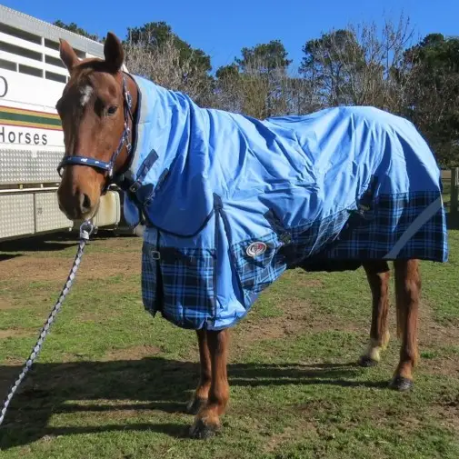 600D Winter Combo Horse Rugs Blue Check|Horse Rugs | LOVE MY HORSE - Australia
