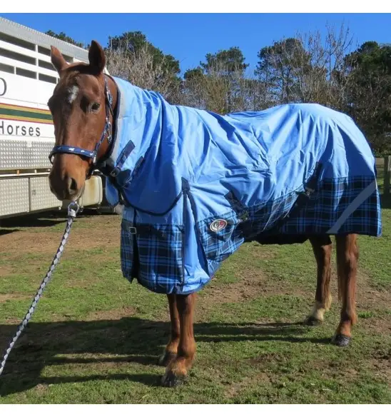 600D Winter Combo Horse Rugs Blue Check|Horse Rugs | LOVE MY HORSE - Australia