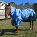 600D Winter Combo Horse Rugs Blue Check|Horse Rugs | LOVE MY HORSE - Australia