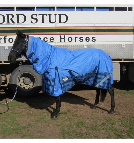 600D Winter Combo Horse Rugs Blue Check|Horse Rugs | LOVE MY HORSE - Australia