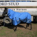 600D Winter Combo Horse Rugs Blue Check|Horse Rugs | LOVE MY HORSE - Australia